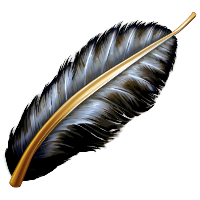 a black feather on a white background