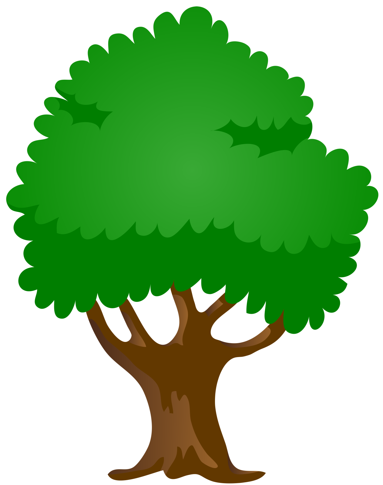 a tree with green leaves