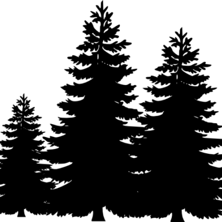 a black and white silhouette of three trees