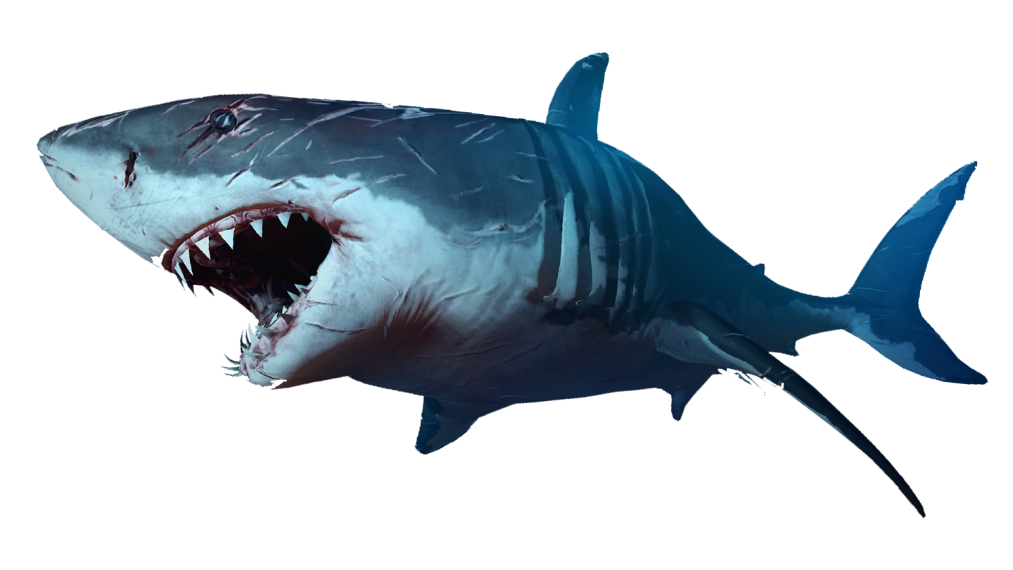 a great white shark with its mouth open