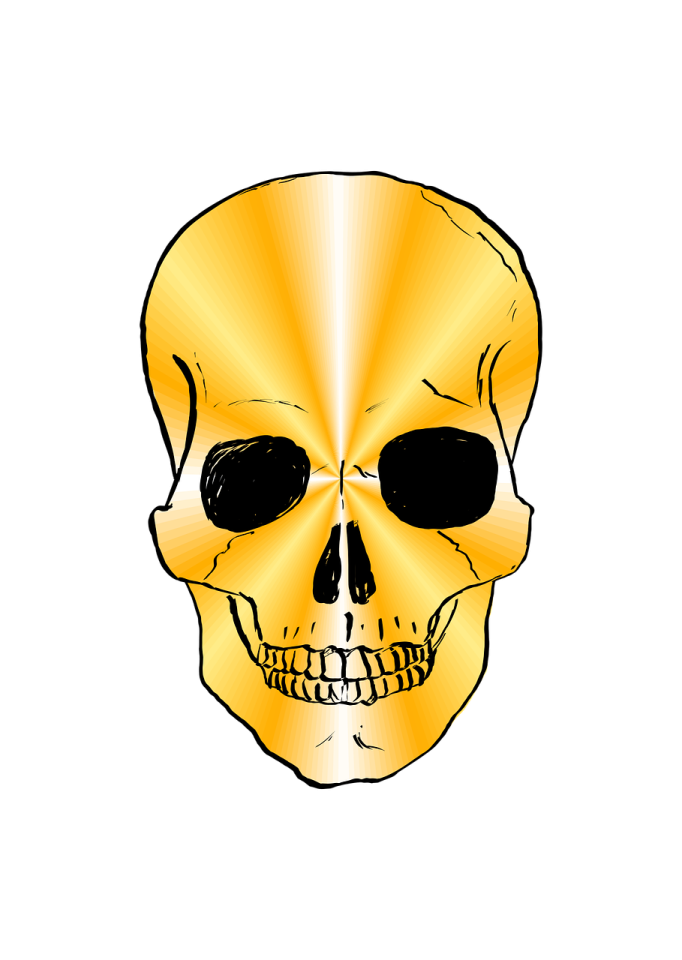 a drawing of a skull on a white background