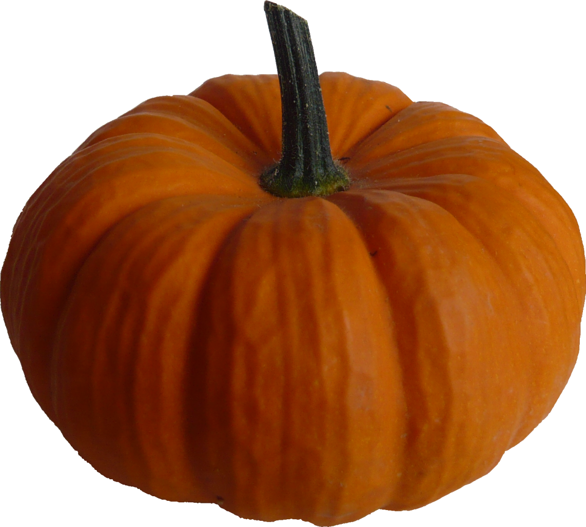 a small orange pumpkin on a white background
