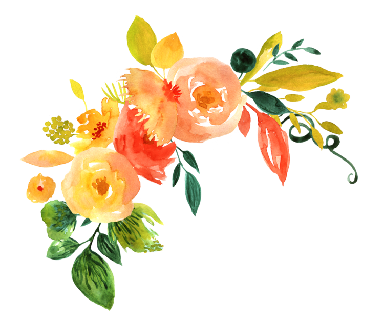 a painting of flowers on a white background