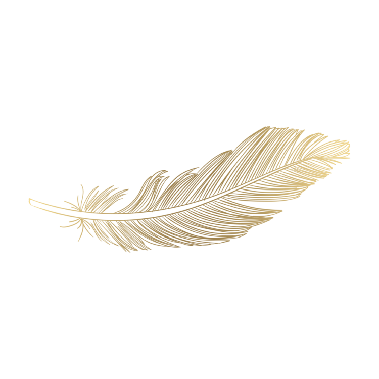 a golden feather on a white background