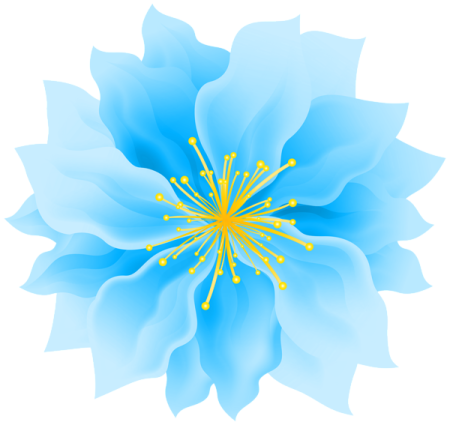 a blue flower on a white background