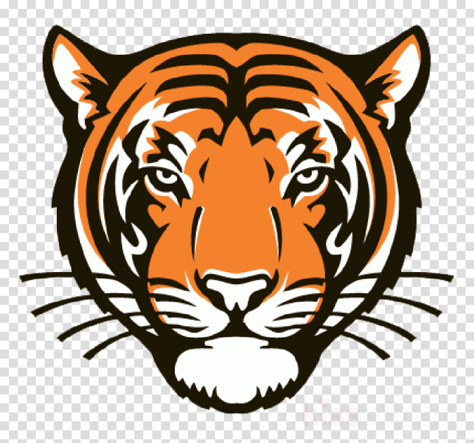a tiger head on a transparent background