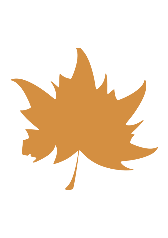 a brown leaf on a white background