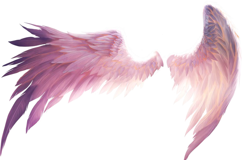 a pair of pink and purple wings