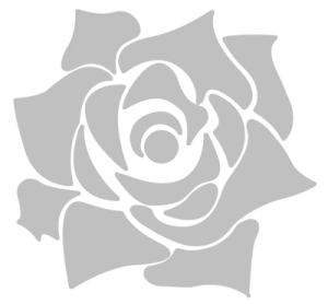 a black and white rose on a white background