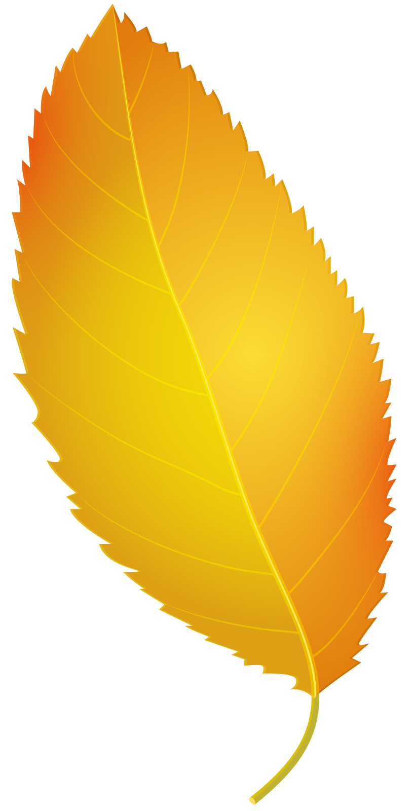 a yellow leaf