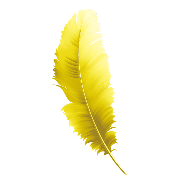 a yellow feather on a white background