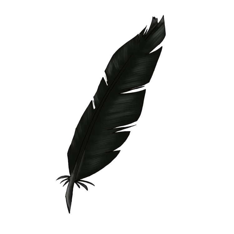 a black feather on a white background