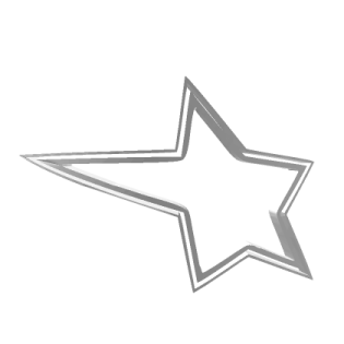 a white star with a silver outline