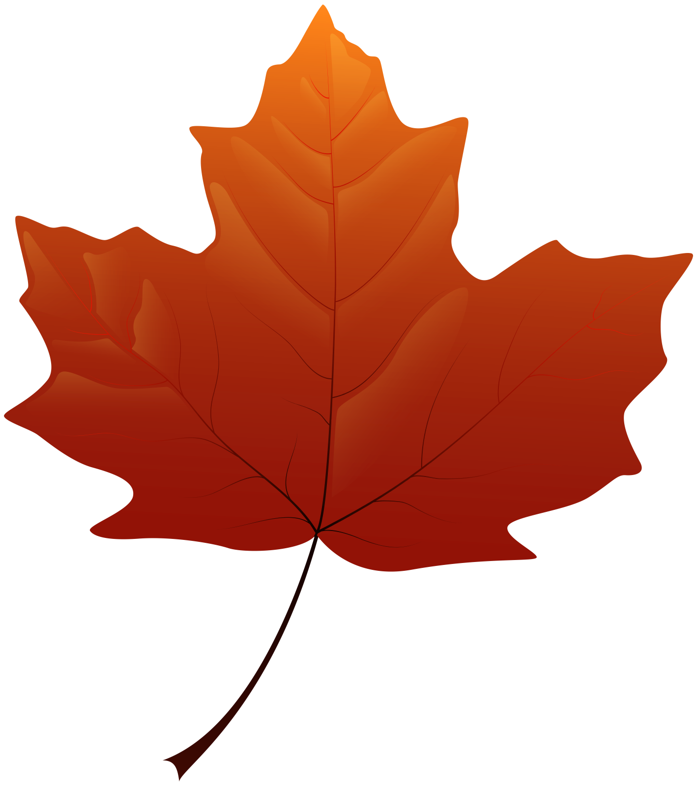 a maple leaf on a white background