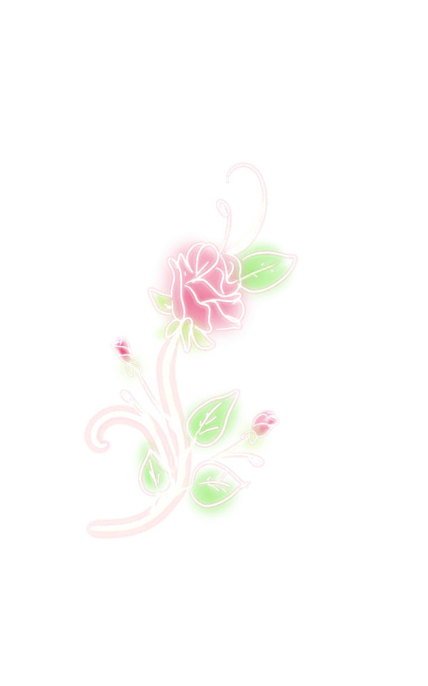 a pink flower on a white background