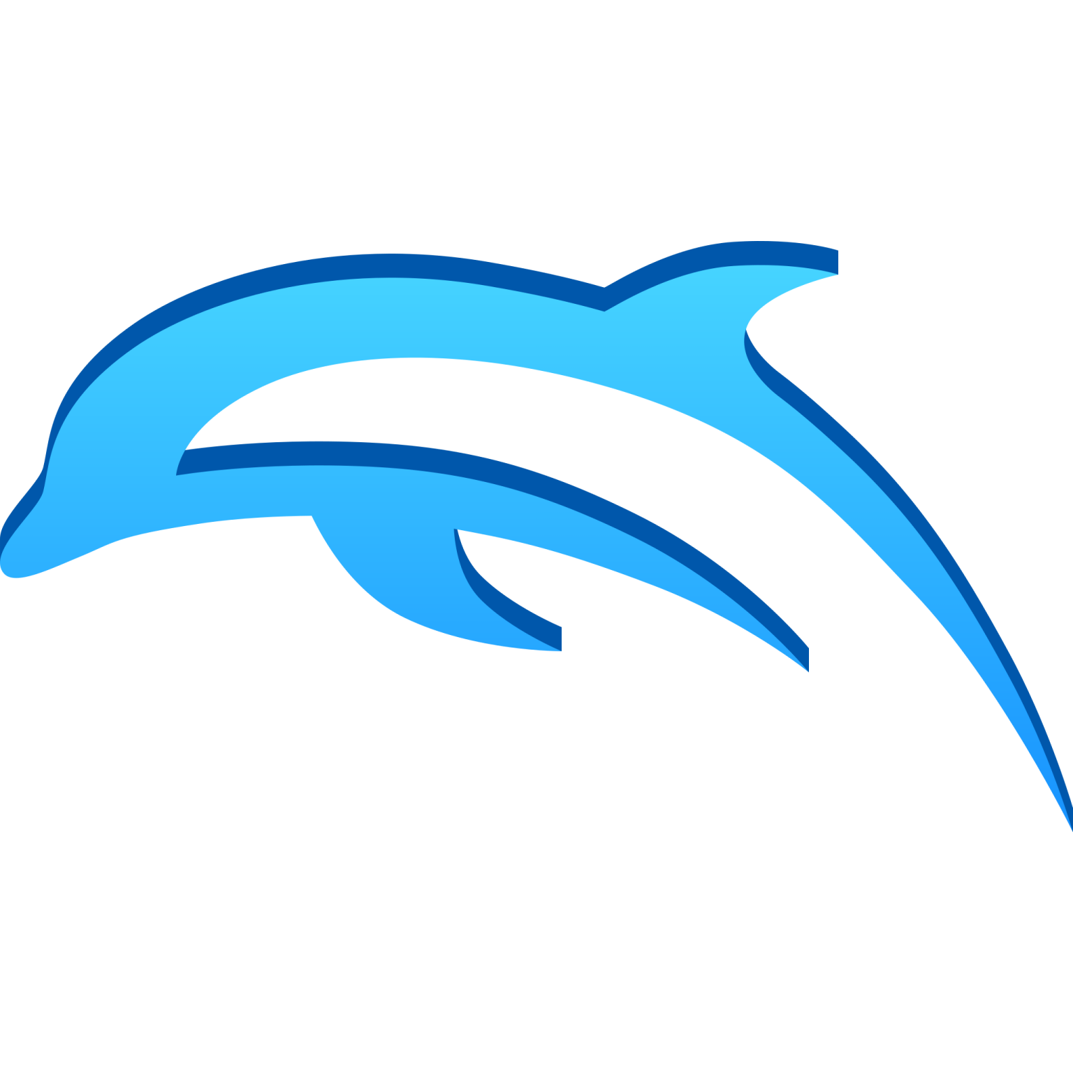 a dolphin jumping out of the water