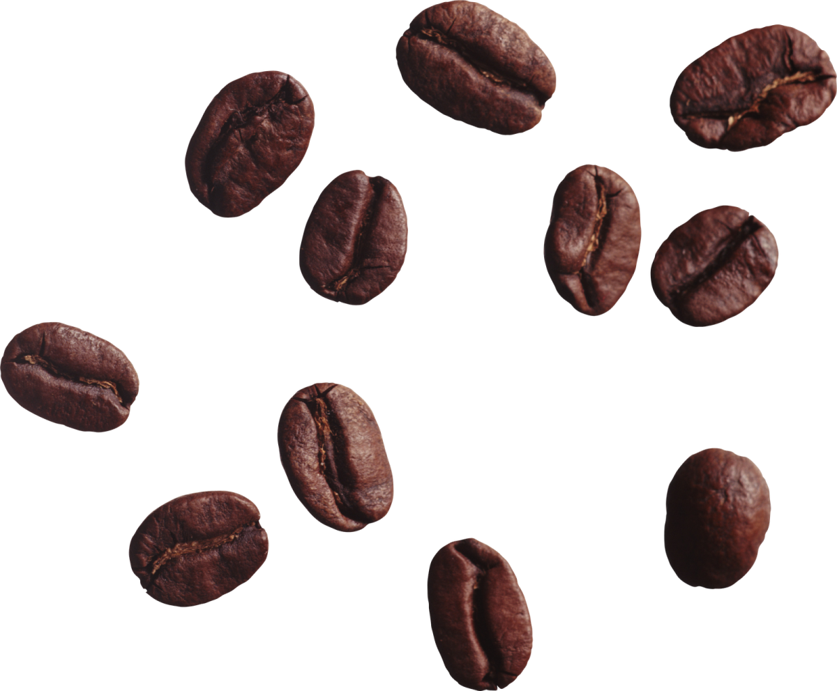 coffee beans on a white background