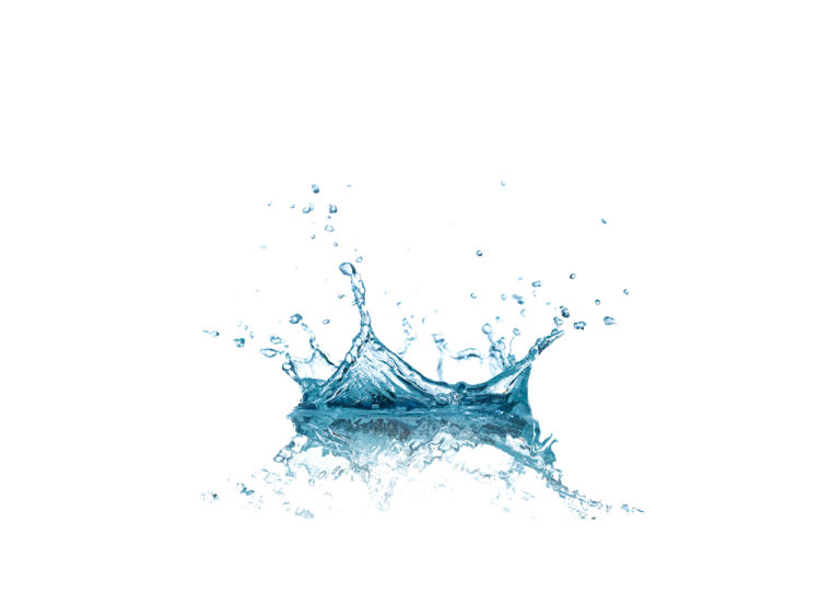 a water splash on a white background