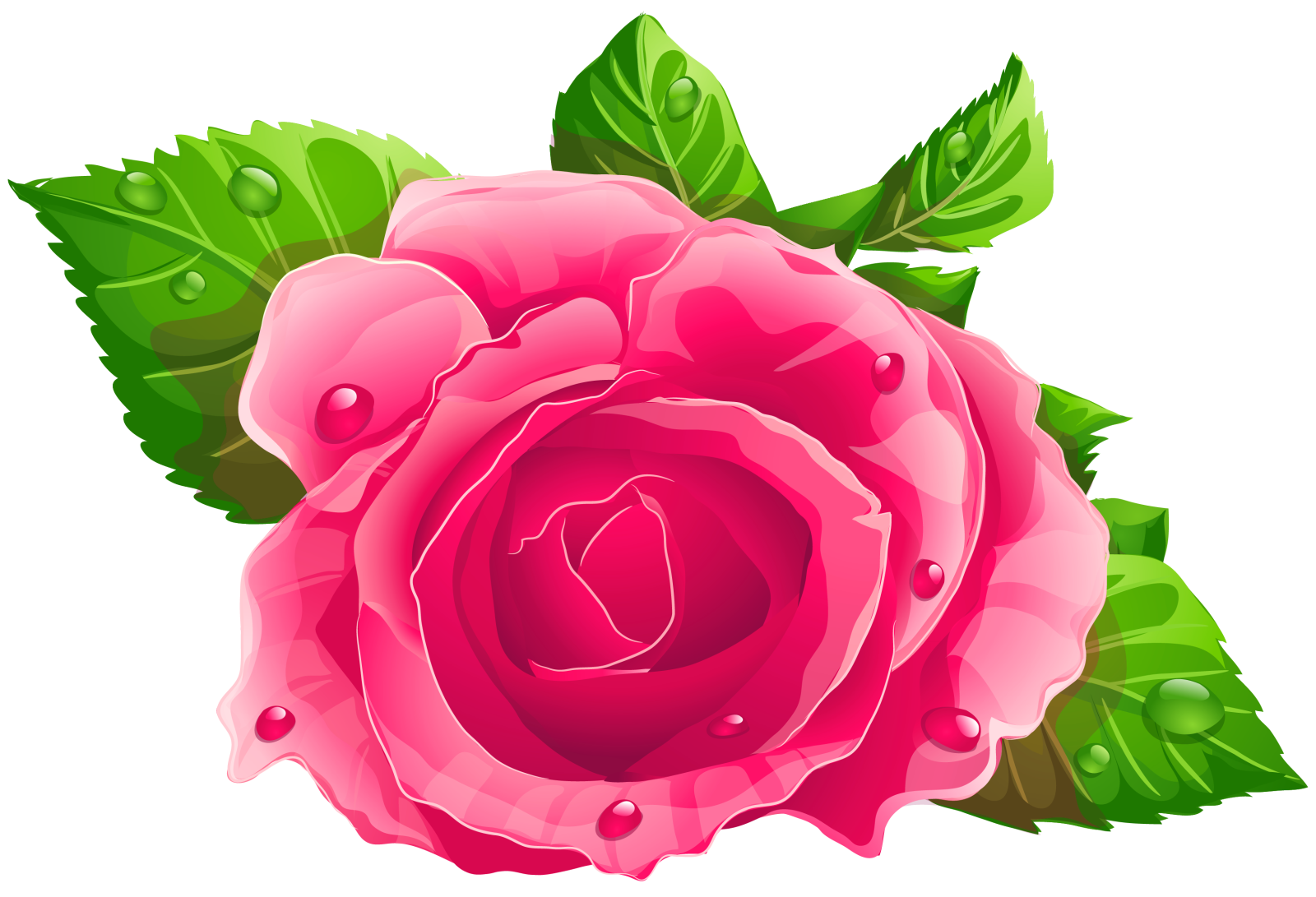 a pink rose with green leaves