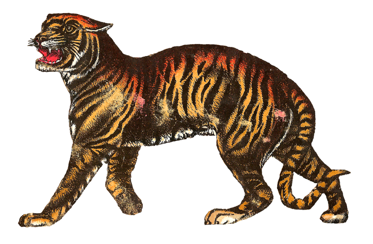 a drawing of a tiger with its mouth open