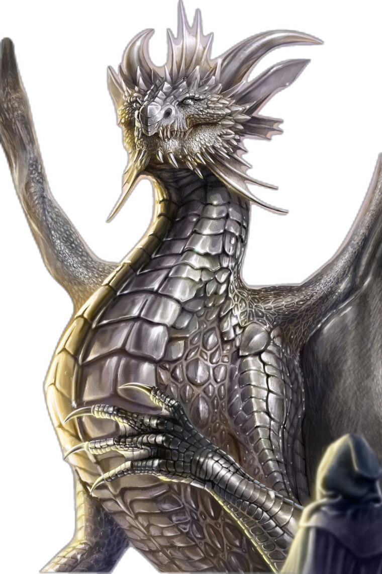 a drawing of a dragon with its wings spread