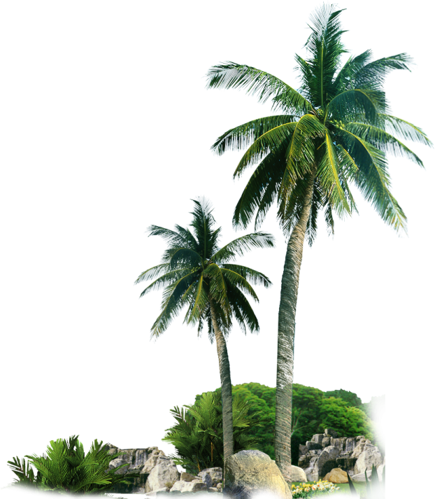 a small island with two palm trees