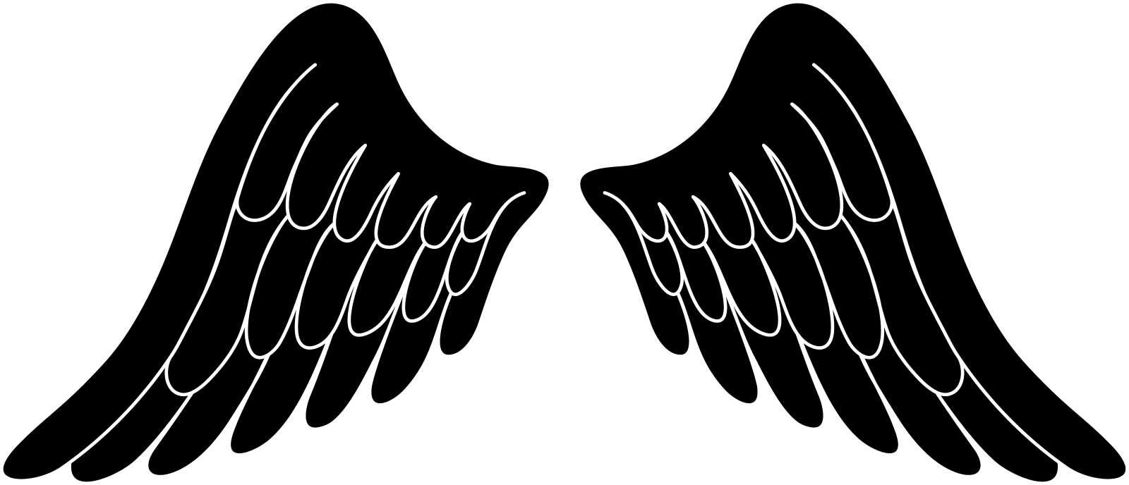 a pair of black angel wings