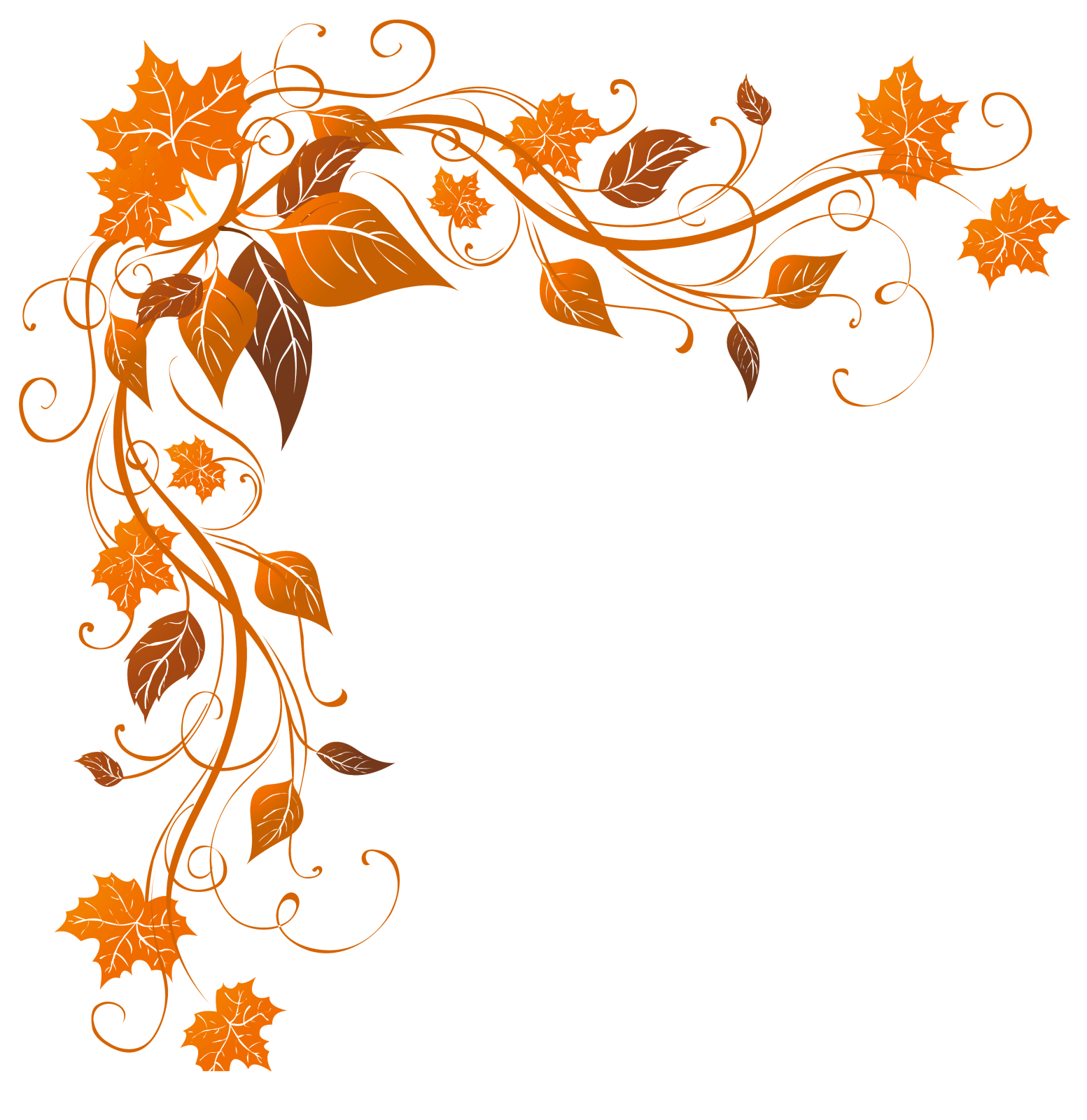a floral frame with leaves and vines