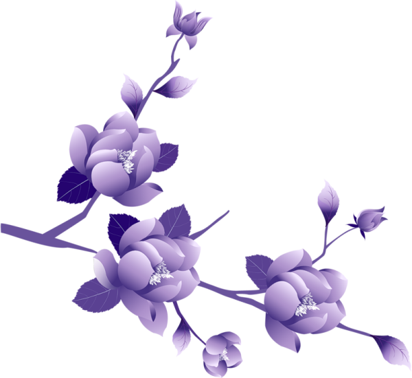 a branch with purple flowers on it