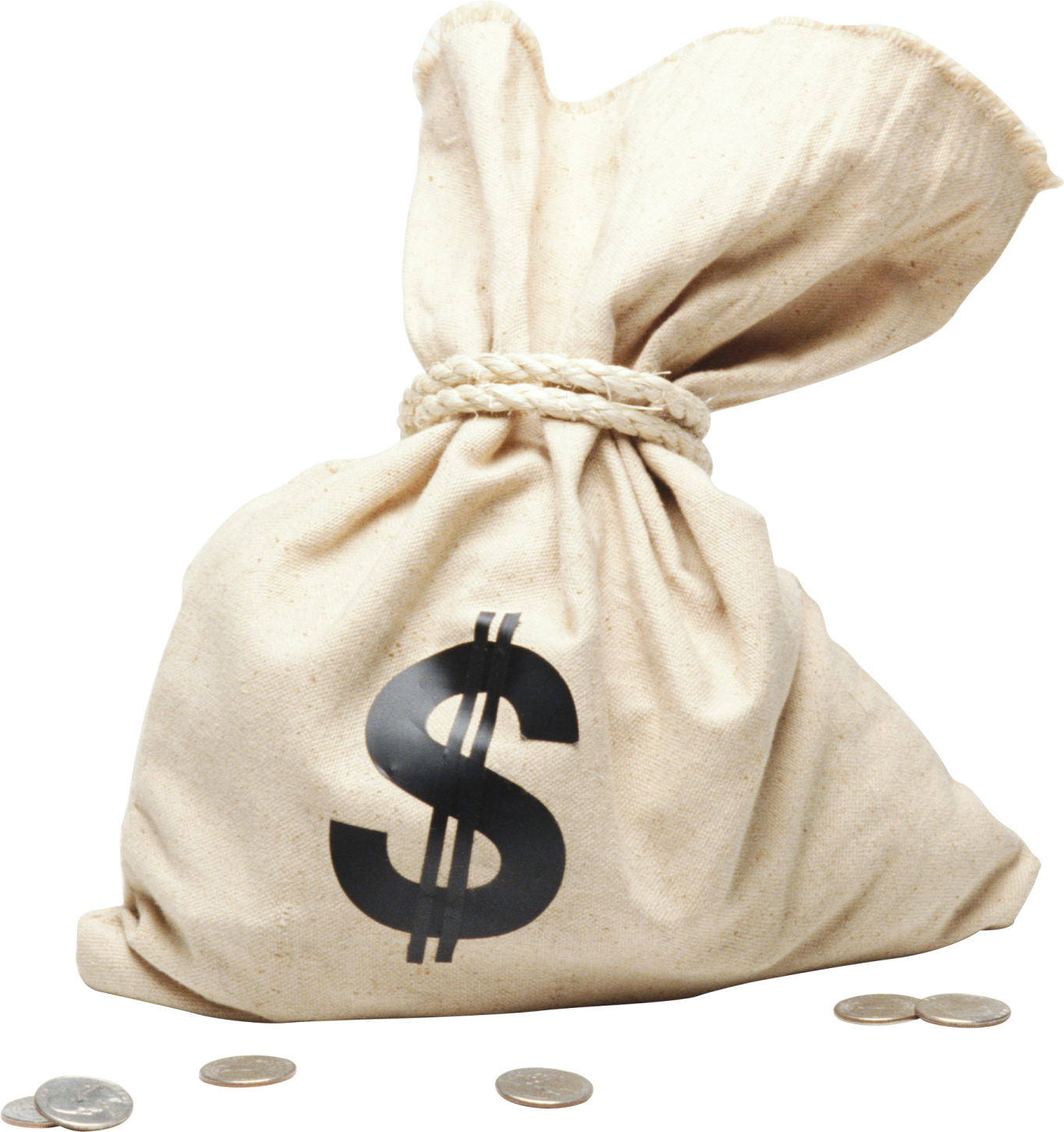 a bag of money with a dollar sign on it