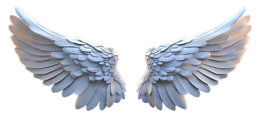 a pair of wings on a white background