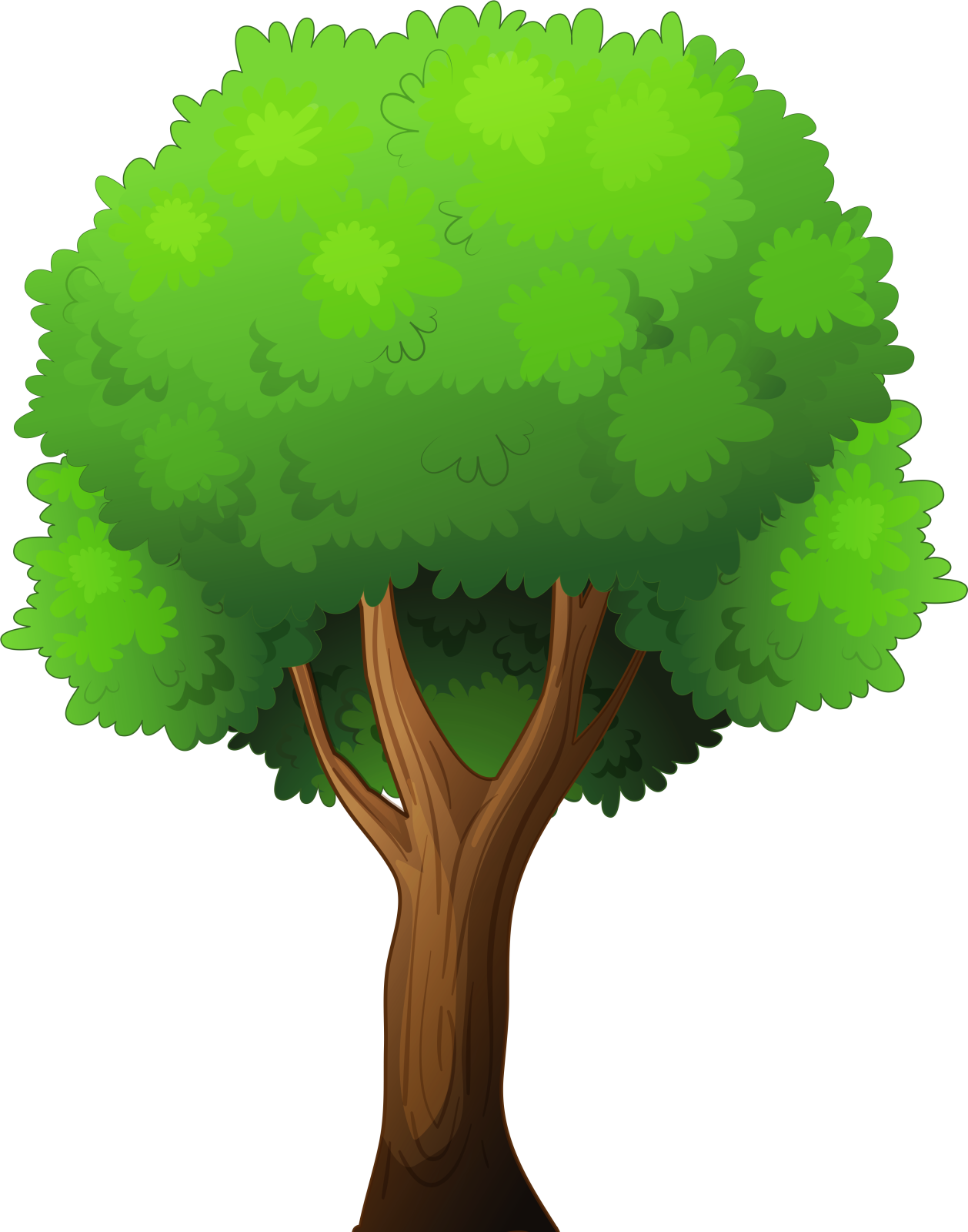 a green tree on a white background