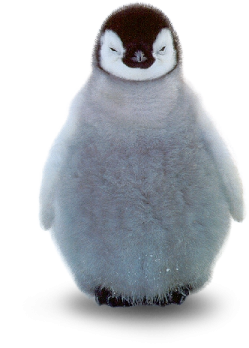 a small penguin sitting on top of a white surface