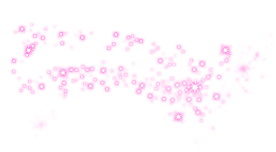 pink flowers on a white background