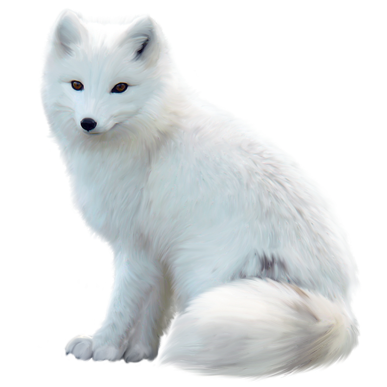 a painting of a white fox sitting down