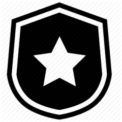 a black and white shield with a star