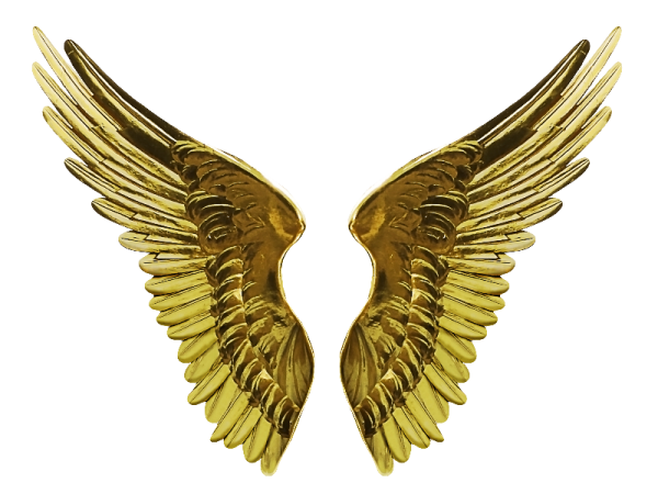 a pair of gold wings