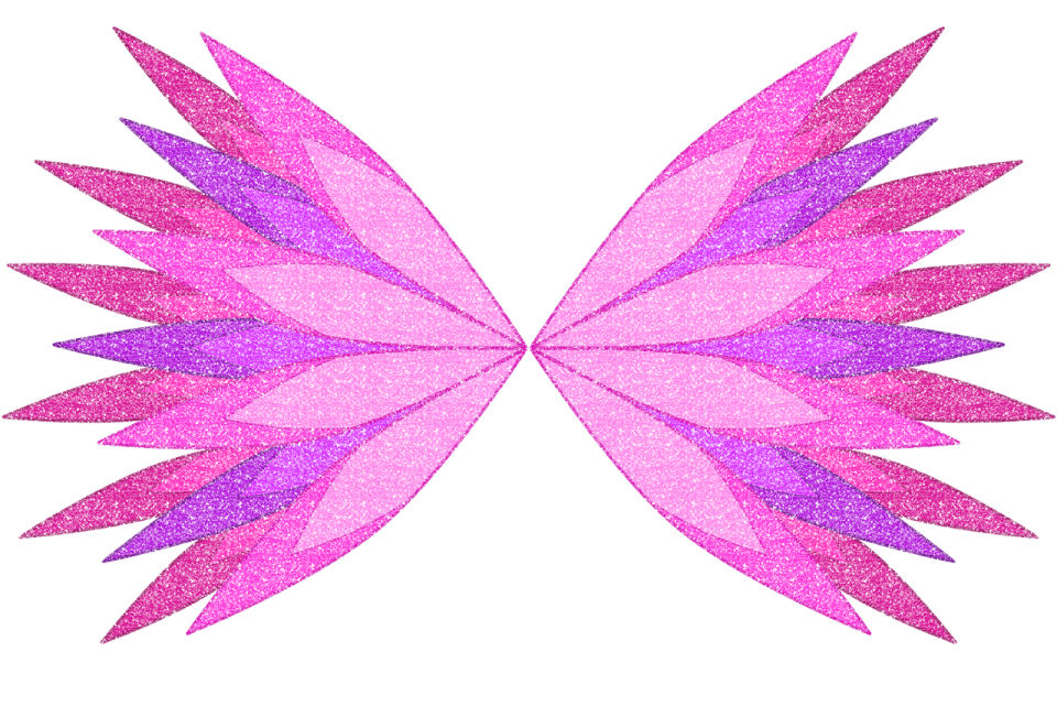 a pair of pink and purple wings