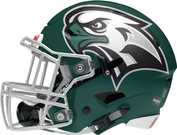 the philadelphia eagles football helmet
