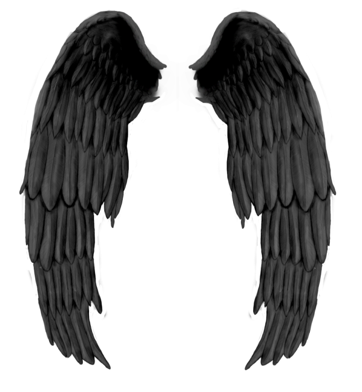 two black wings on a white background