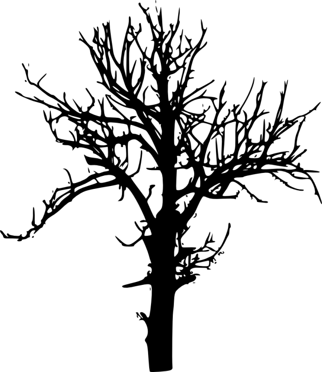 a black and white silhouette of a tree