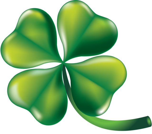 a four leaf clover on a white background