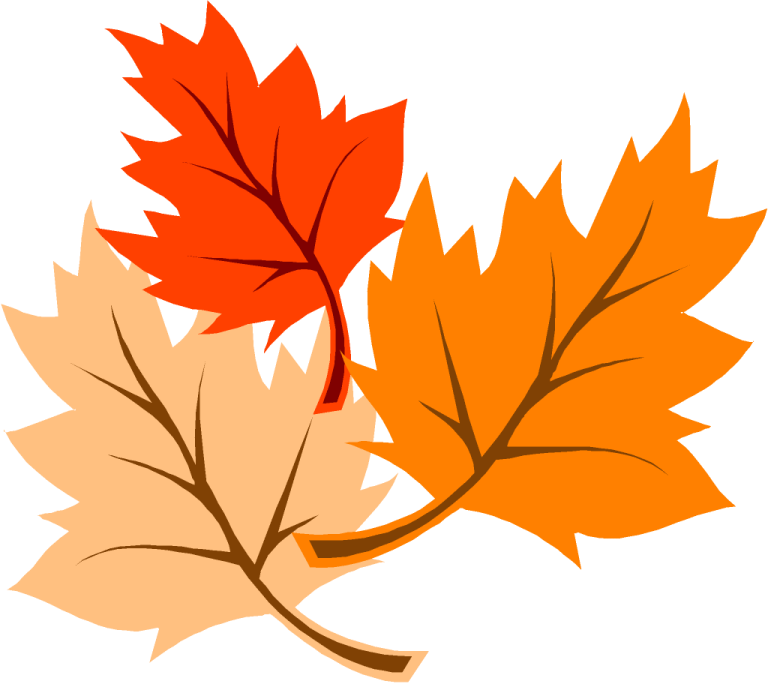 a pair of autumn leaves