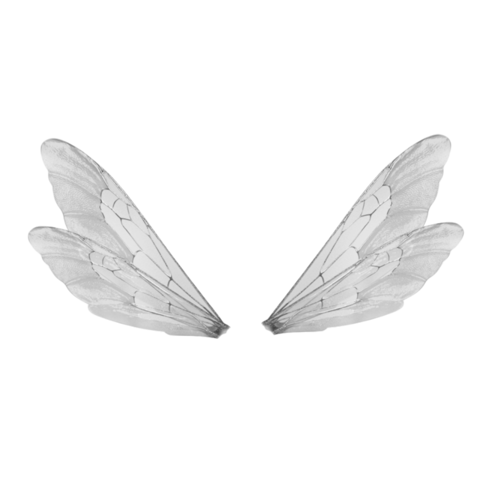 a pair of wings on a white background