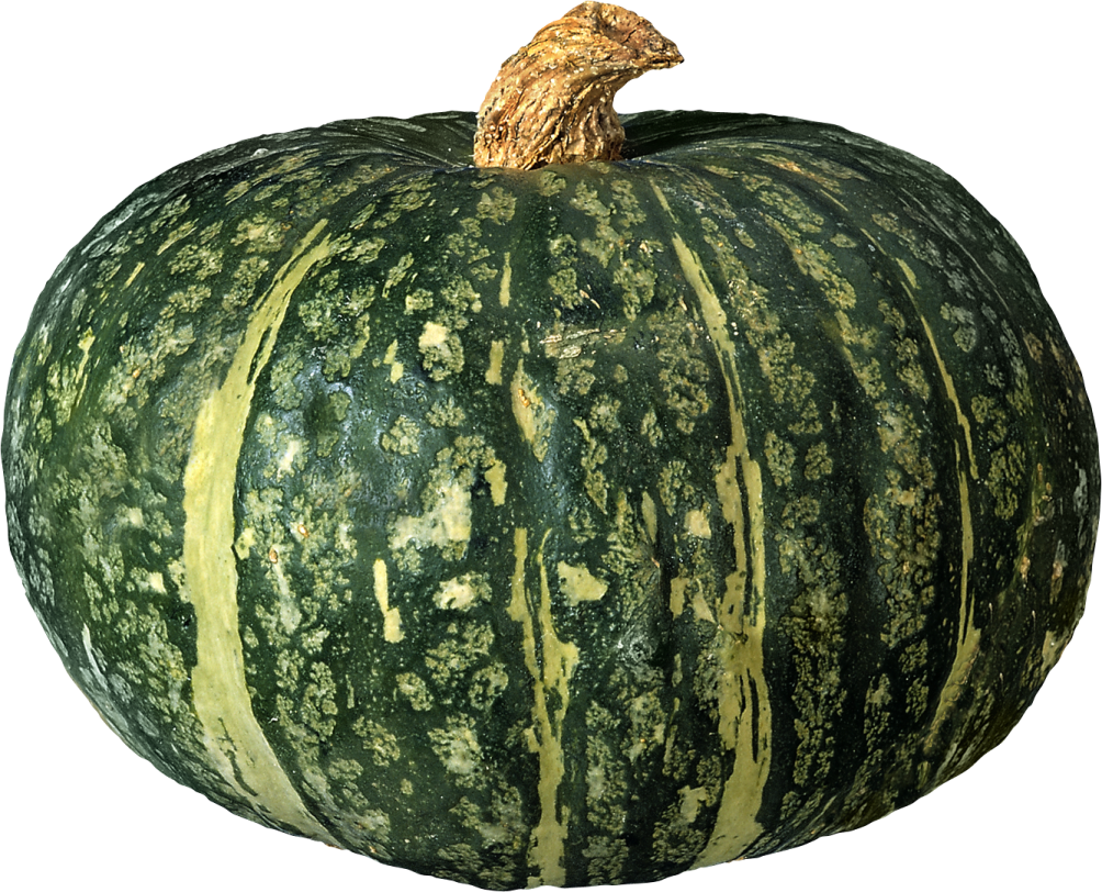 a large green pumpkin on a white background