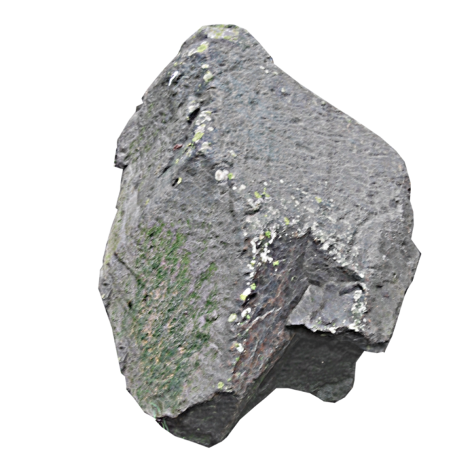 a rock with moss growing on it