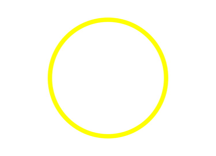 a black oval frame on a white background