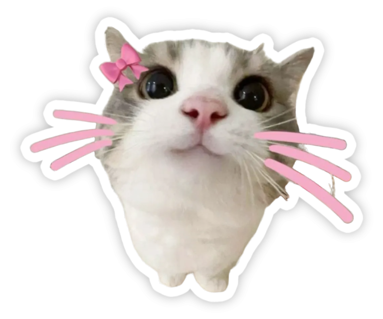 a cat with a pink bow on its head