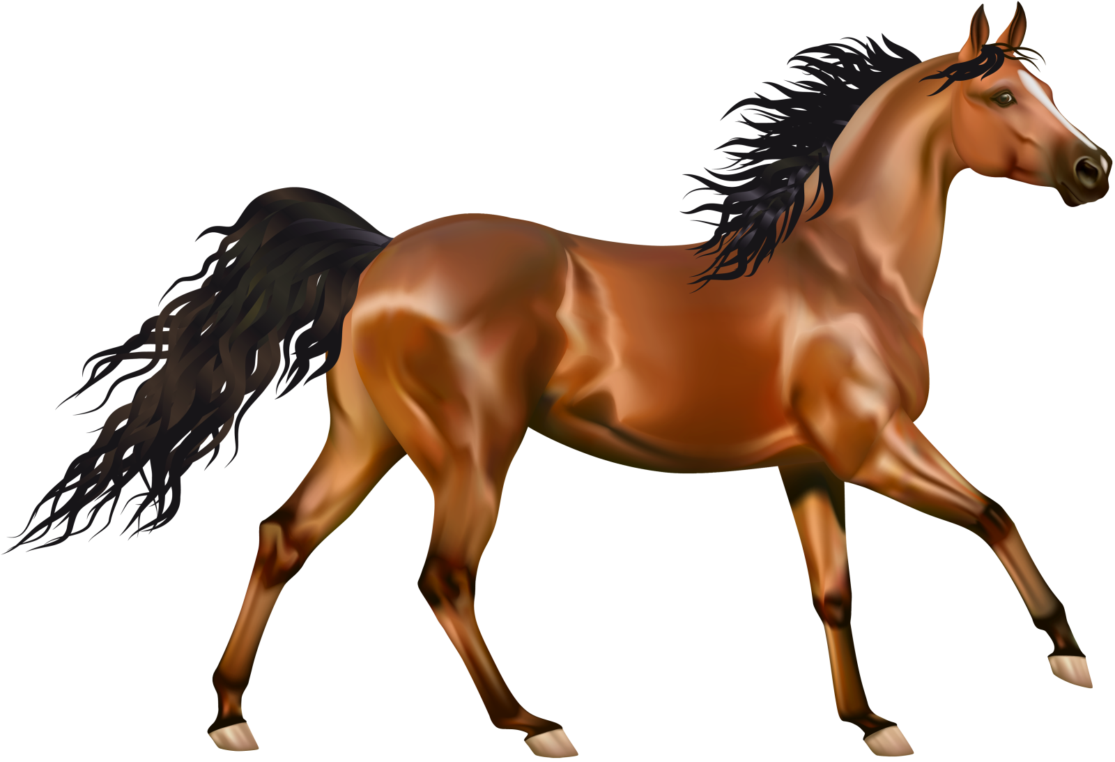 a brown horse with black manes