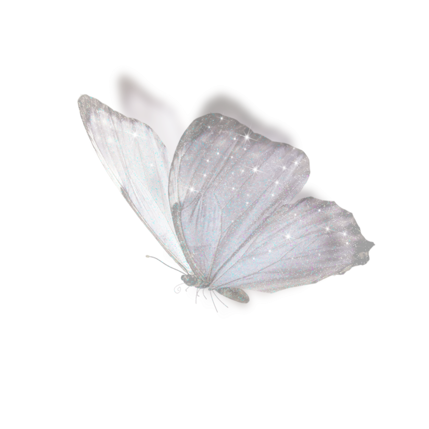 a white butterfly is flying in the air